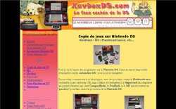 copie de jeux nintendo ds